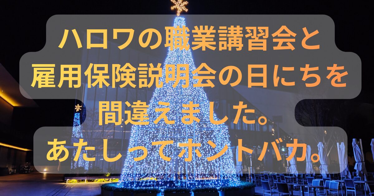 hellowork-koushukai-ikenakatta